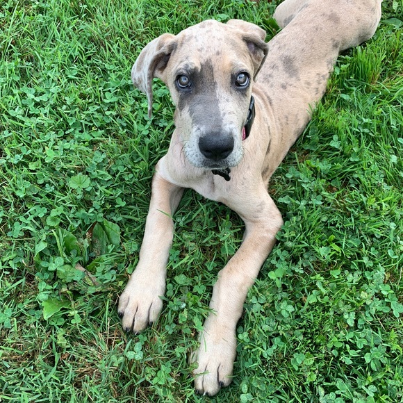 Who is @jamcat73?!?! - Picture 7 of 10